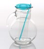 Premium 2 Litre Glass Water Jug
