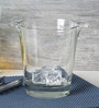 Ypsilion Glass Ice Bucket