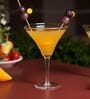 Borosilicate Martini Glasses Set of 2 Elegant Cocktail Glasses