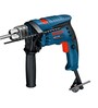 Bosch GSB 13 RE Kit 13mm 600W Professional Impact Drill (With 100 pcs Accessory Set)