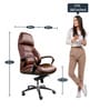 Boss Executive Office Chair in Brown Colour