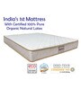 Organic Ergonomic 7 inch Latex Queen Size Mattress