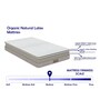 Organic Ergonomic 7 inch Latex Queen Size Mattress