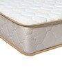 Organic Ergonomic 7 inch Latex Queen Size Mattress
