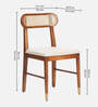 Berlin Solid Wood Dining Chair In Teak Honey Finish Set Of 2