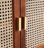 Berlin Solid Wood Side Board In Teak Honey Finish