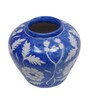 Botanic vase Blue Colour Ceramic Table Vase
