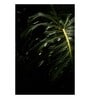 Visual Images Green Wood Framed Floral Art Print