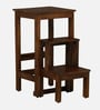Boudry Mango Wood Ladder Stool In Tubbaq Finish