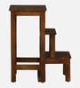 Boudry Mango Wood Ladder Stool In Tubbaq Finish