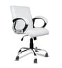 Bozo Medium Back  Executive Chair  In White Colour