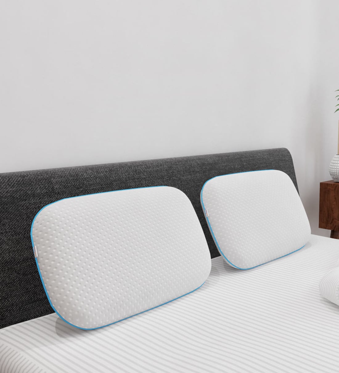 livpure pillow