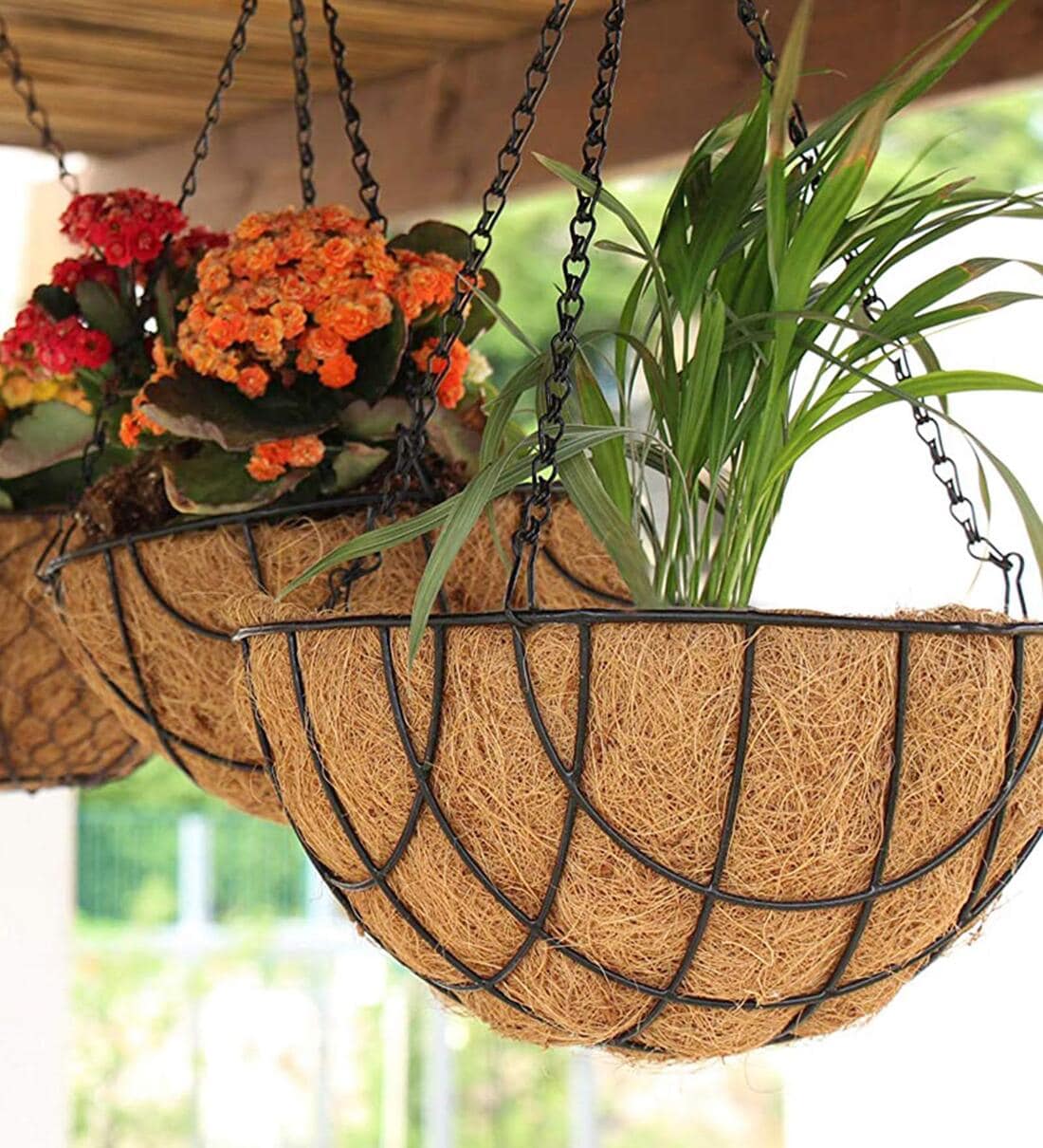 Buy Brown Coir (Pack of 2) Hanging Basket Planter By coirgarden at 31