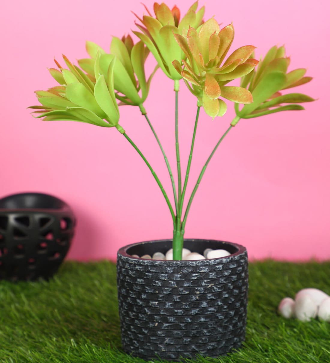 Buy Brown PVC Artificial Plant Without Pot by Pollination at 20 OFF by Pollination Pepperfry