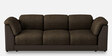 Broadway V2 3 Seater Sofa in Ada Woodland Colour