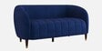 Brookfield Velvet Fabric 2 Seater Sofa in Royal Blue Colour