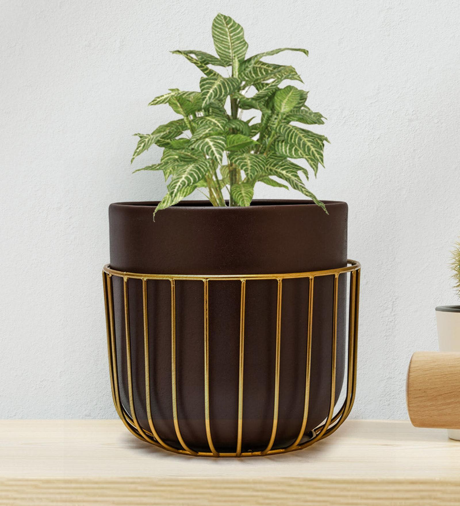 Brown & Gold Metal Floor Planter