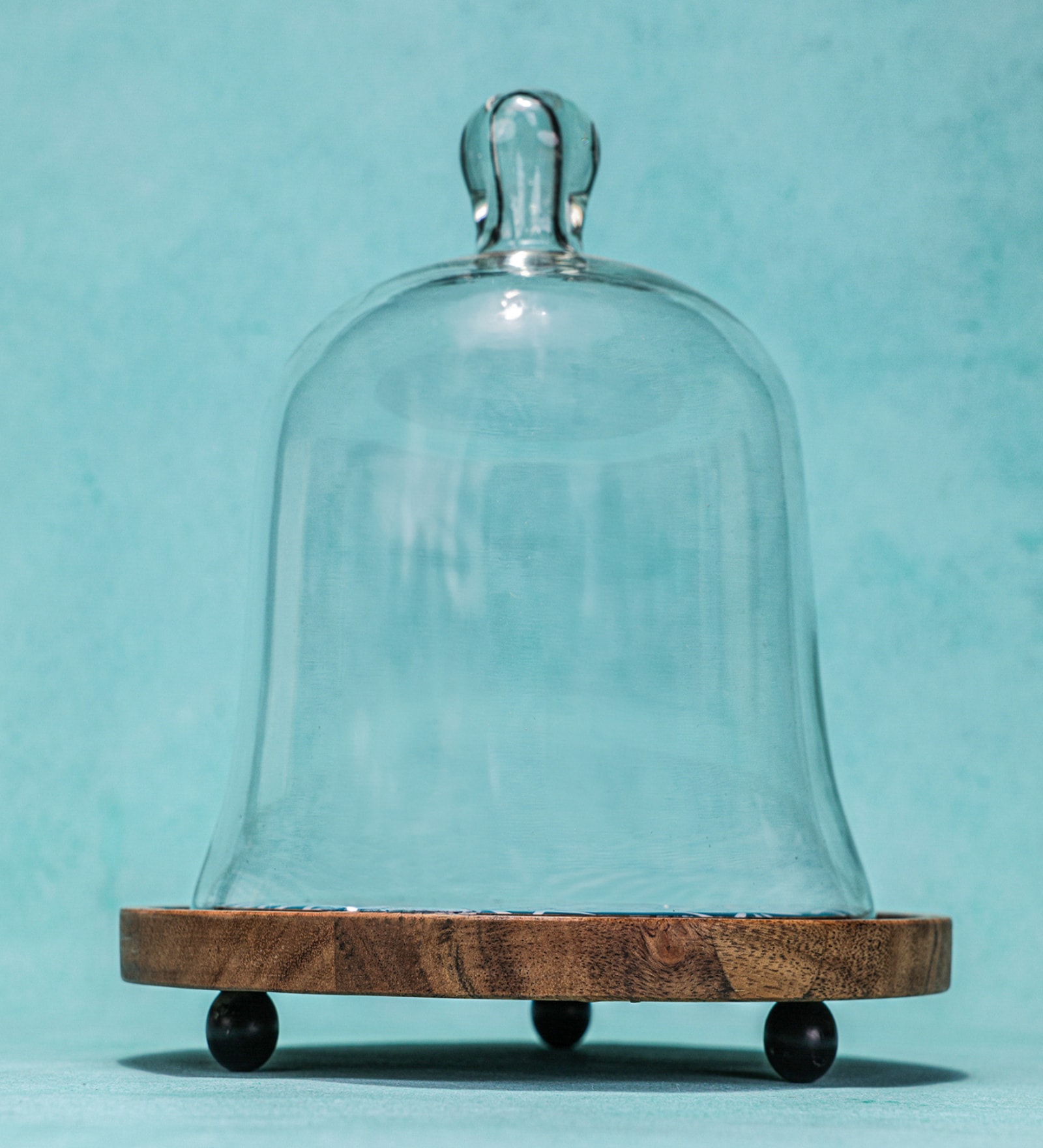 Glass Cloche with Brown Acacia Wood Base