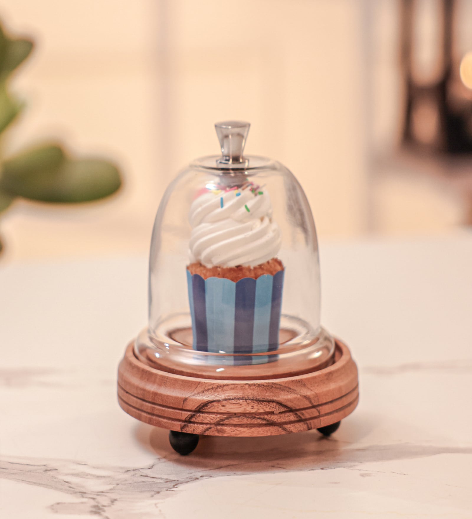 Brown Acacia Wood  Cloche With Wooden Base