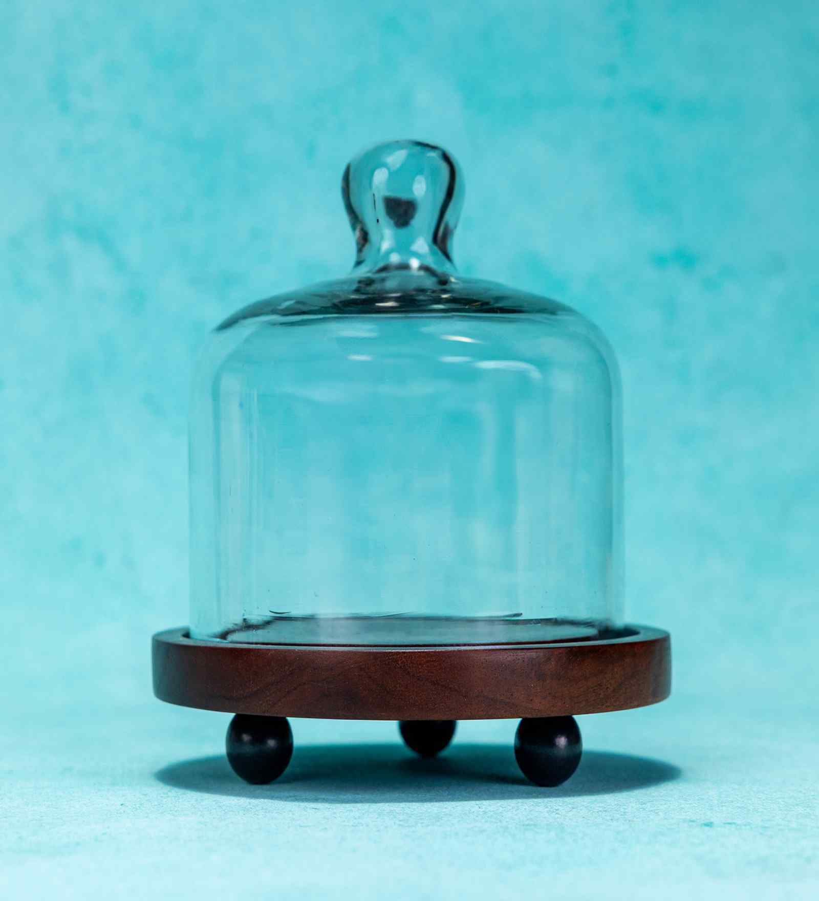 Brown Acacia Wood Cloche with Wooden Base