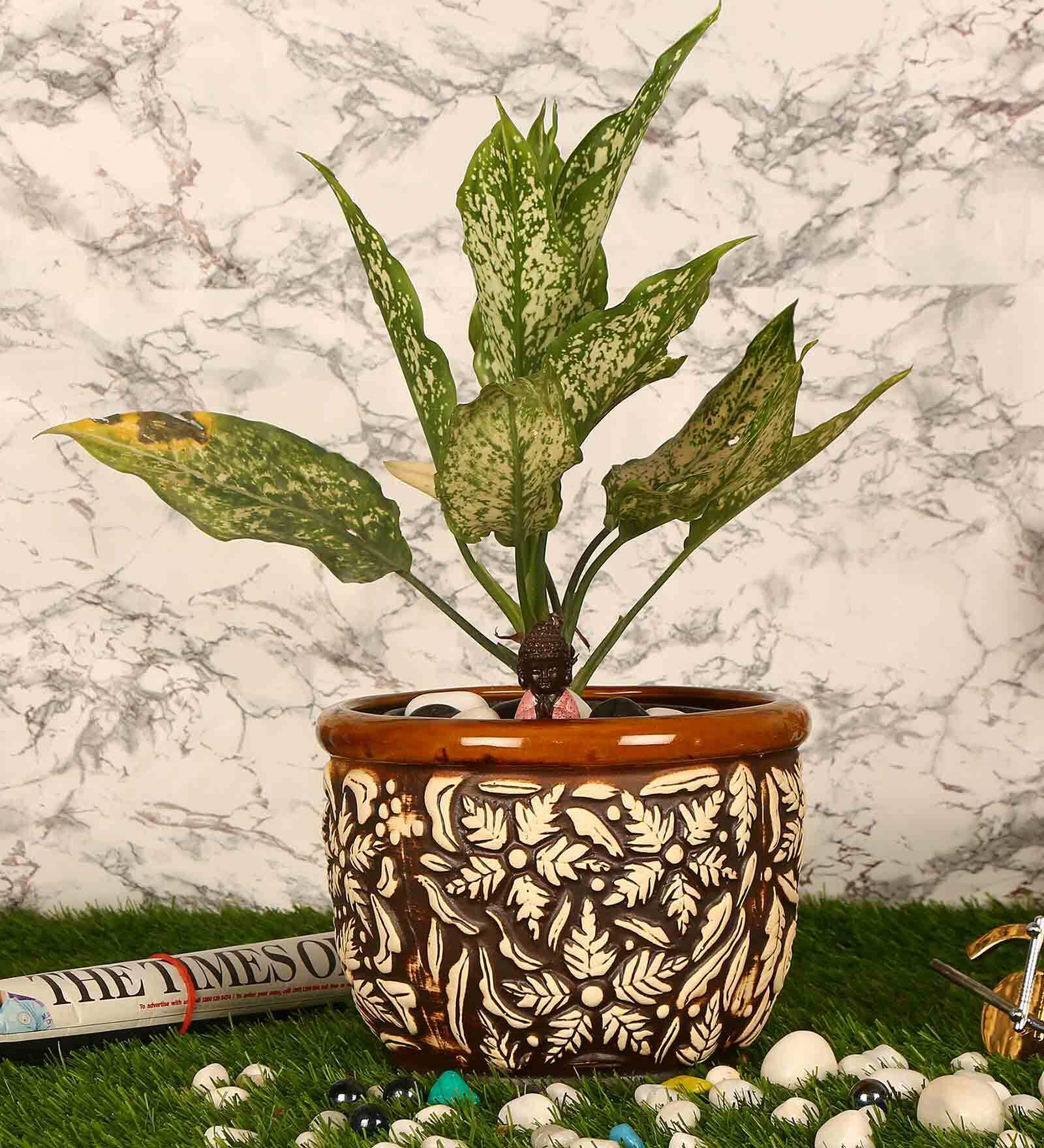 Brown Ceramic Small Phool Gamla Flower Pot