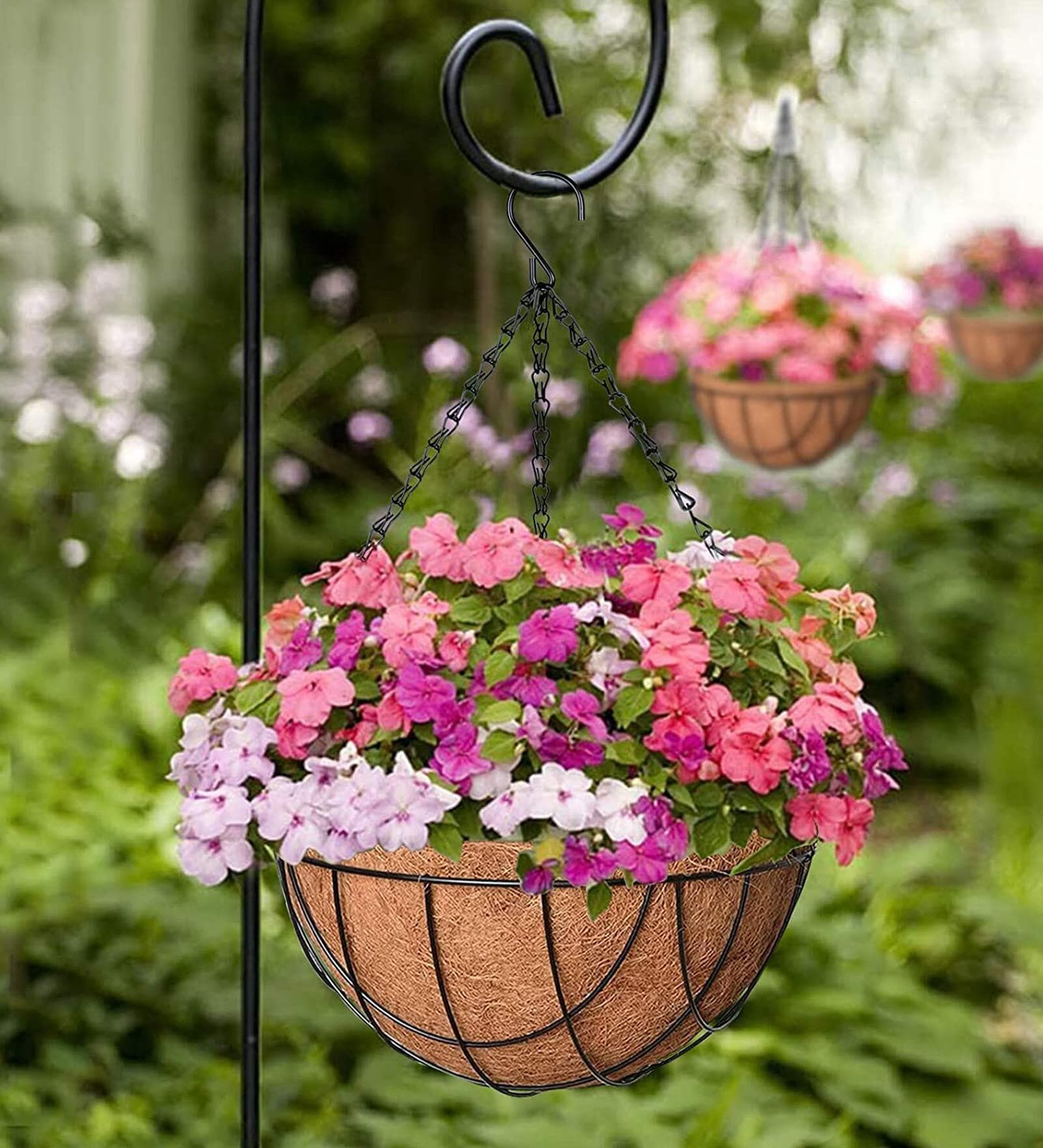 Buy Brown Coir (pack Of 4) Hanging Basket Planter By Coirgarden At 6% 