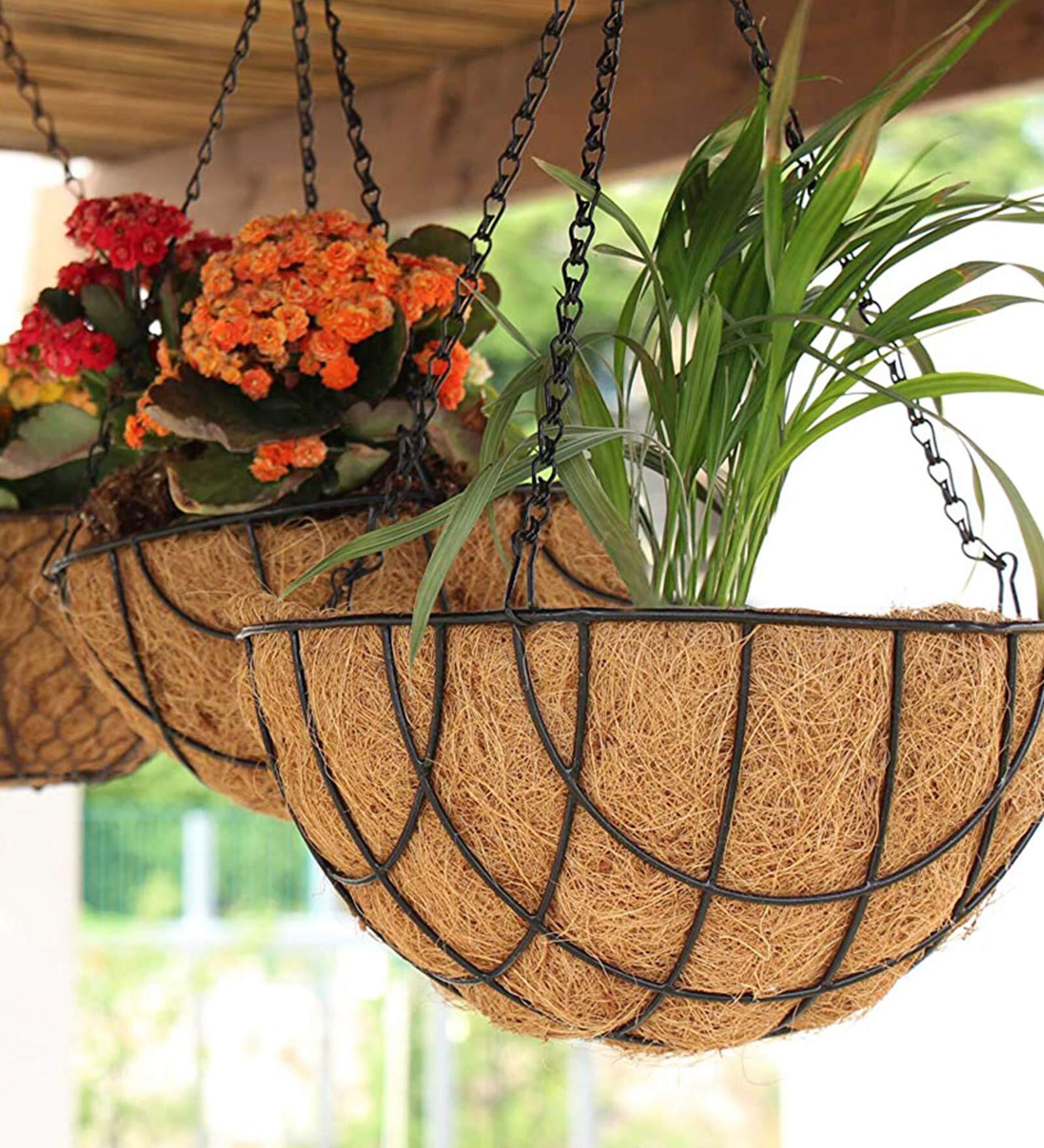 Brown Coir (Pack of 2) Hanging Basket Planter