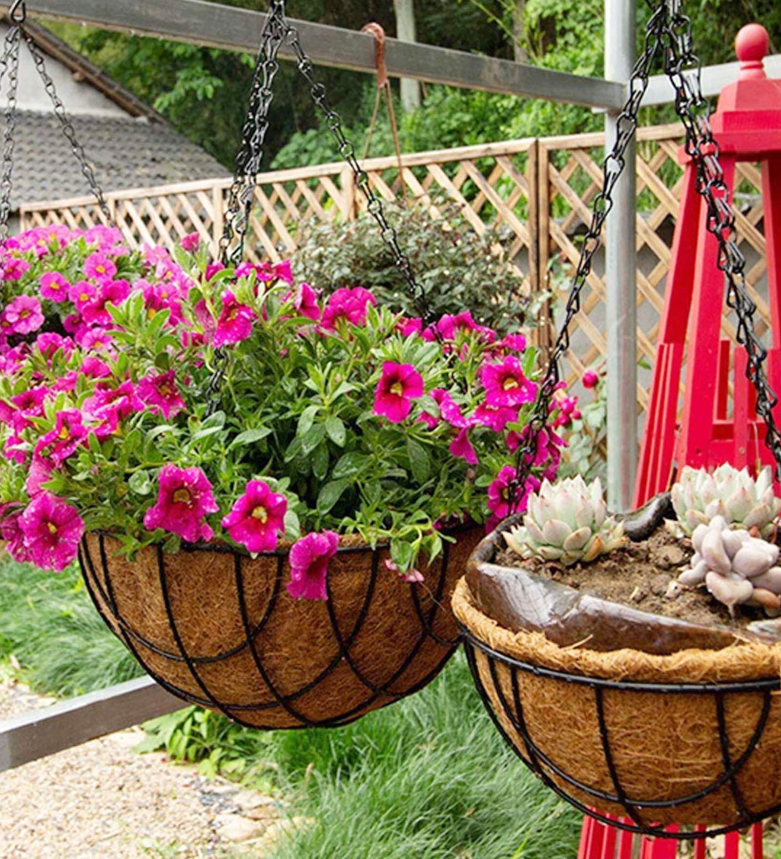 Brown Coir (Pack of 2) Hanging Basket Planter