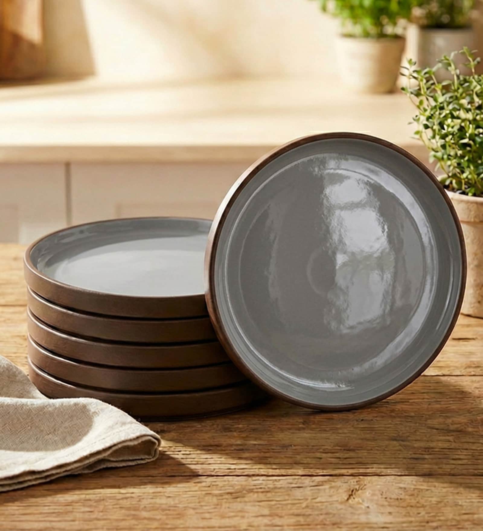 Brown Dinner Plates Set of 6