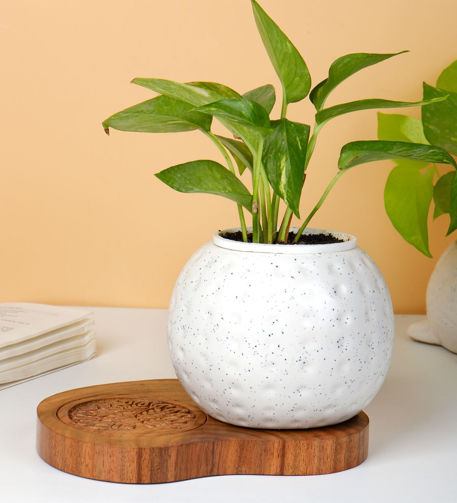 Brown Sheesham Wood Decorative Stand