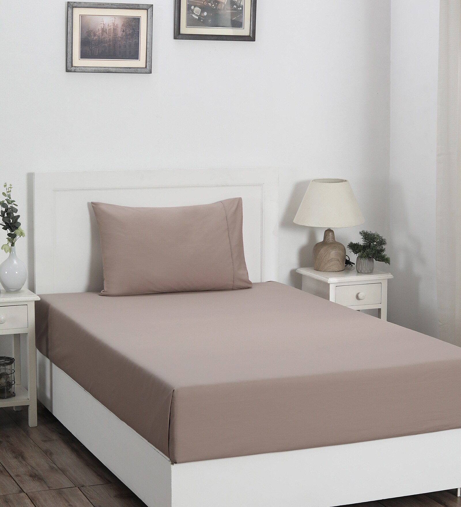 Brown Solid 200 TC Cotton Single Bedsheet With 1 Pillow Cover