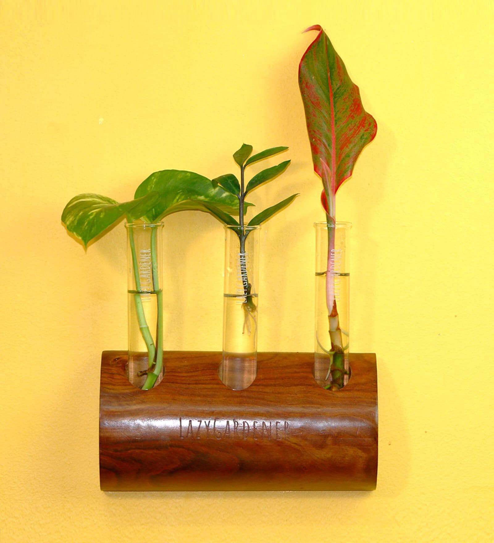 Dark Brown Wall Mount Planter Hanger With Glass Tube
