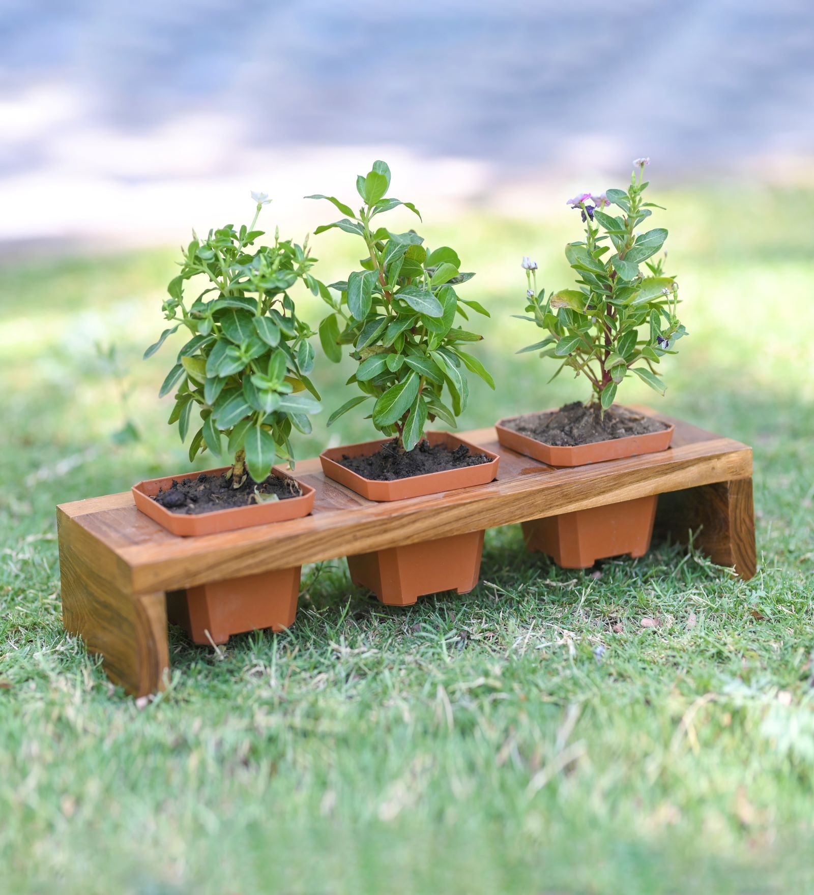 Brown Wooden Wooden Planter Stand