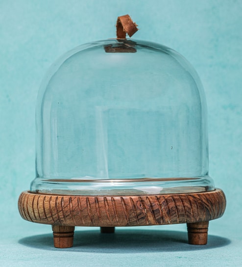 Brown Acacia Wood  Cloche With Wooden Base