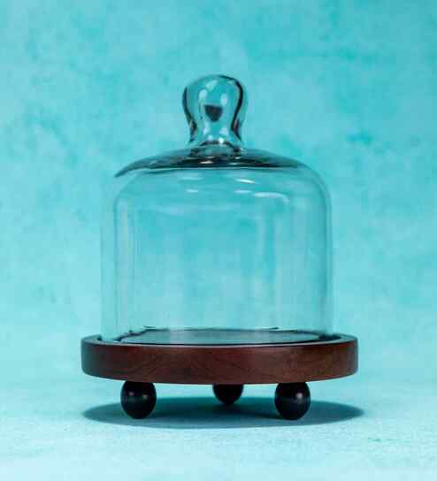 Brown Acacia Wood Cloche with Wooden Base