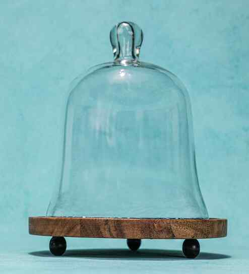 Glass Cloche with Brown Acacia Wood Base