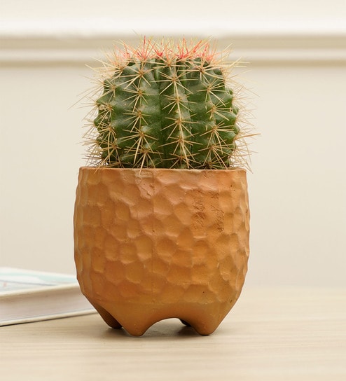 Pebble Brown Terracotta Desk Pot by Purezento