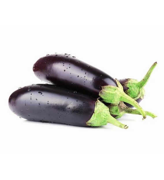 Buy Brinjal Seeds Non Hybrid Long Eggplant Baingan Gardening Seeds 100 Seeds By Wonderland Online Seeds Bulbs Seeds Bulbs Home Decor Pepperfry Product