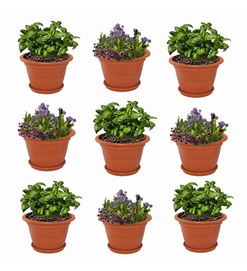 Buy Brown Plastic 12 Inch Heavy Duty Planters Pots - Set of 9 Online ...