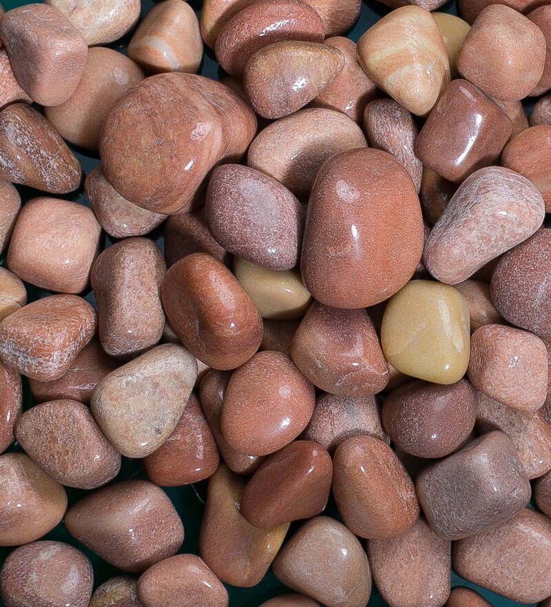 Buy Brown 2 Kgs Decorative Natural Pebbles By Stone Beyond Online Decorative Pebbles Decorative Pebbles Home Decor Pepperfry Product