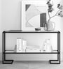 Brad Metal Console Table in Black Finish