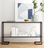 Brad Metal Console Table in Black Finish