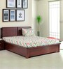 Bradley King Size Bed With Hydraulic Storage in Dark Walnut Colour
