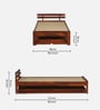 Brakel Sheesham Wood Single Bed In Honey Oak  Finish With Trundle