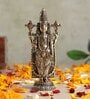 Golden Brass Balaji Standing Idol
