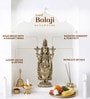 Golden Brass Balaji Standing Idol