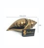 Brass Decorative Shankh Antique Brown Showpiece