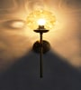 Brass Funner Wall Sconce with Amber Glass Globe Modern Light