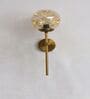 Brass Funner Wall Sconce with Amber Glass Globe Modern Light