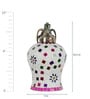 Vrikshya Brass Glass Wall Sconces